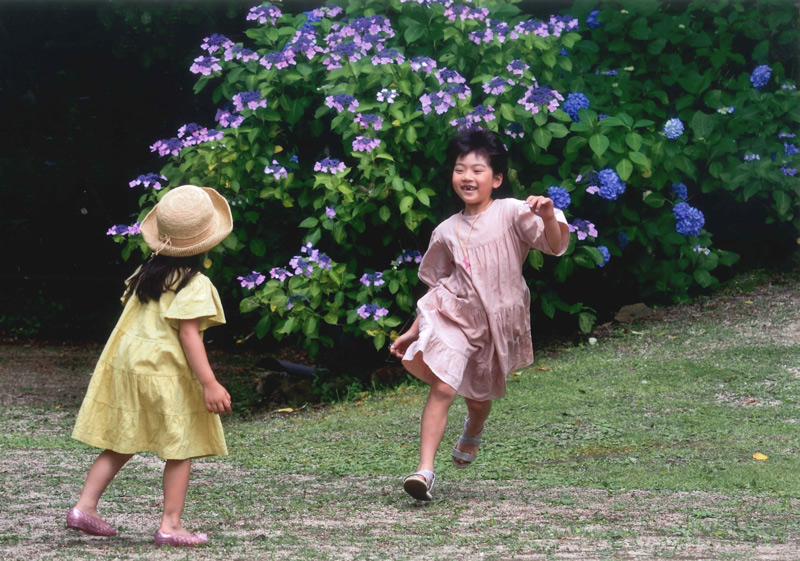 あじさいコンテスト 写真部門