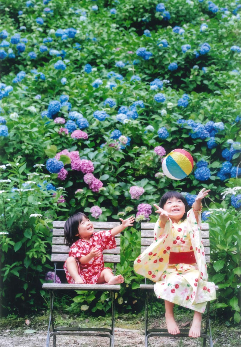 あじさいコンテスト 写真部門 あじさいコンテスト 写真部門
