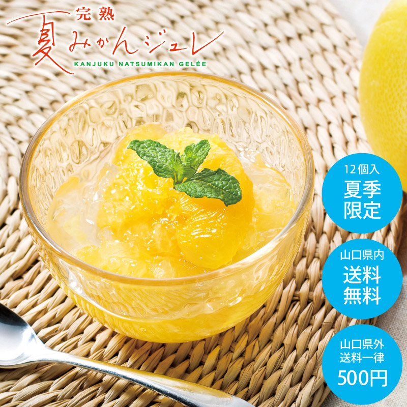 店頭受取 お中元 完熟夏みかんジュレ 12個入 お中元 店頭受取 果子乃季オフィシャルウェブショッピング 店頭受取 お中元 完熟夏みかんジュレ 12個入 お中元 店頭受取 果子乃季オフィシャルウェブショッピング